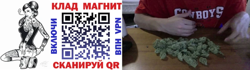 Где продают наркотики Новоузенск ГАШИШ  Бошки Шишки  КОКАИН  Псилоцибиновые грибы  МЕФ  СК 