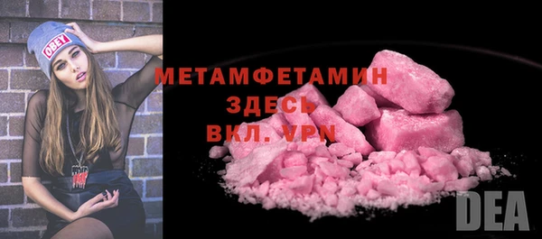 гидра Новодвинск