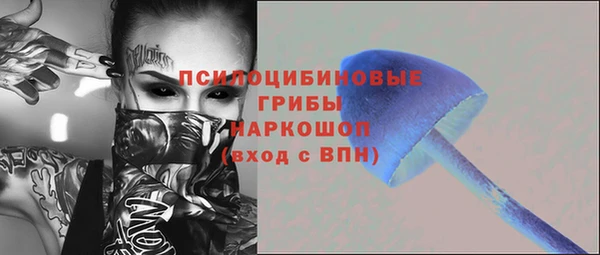 mdpv Няндома