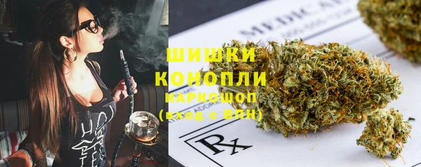 гидра Новодвинск