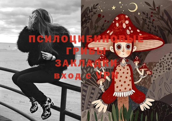 mdpv Няндома