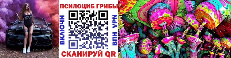 Псилоцибиновые грибы прущие грибы  наркотики  Новоузенск 